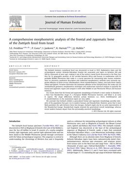 A Comprehensive Morphometric Analysis of the Frontal and Zygomatic Bone of the Zuttiyeh Fossil from Israel