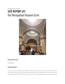 SITE REPORT #3 the Metropolitan Museum Of