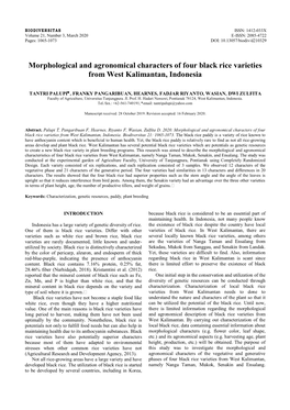 Morphological and Agronomical Characters of Four Black Rice Varieties from West Kalimantan, Indonesia