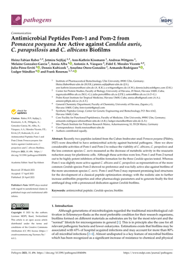 Antimicrobial Peptides Pom-1 and Pom-2 from Pomacea Poeyana Are Active Against Candida Auris, C