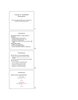 Lecture 12 - Nucleotide Biosynthesis