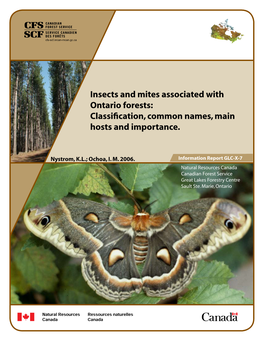 Insects and Mites Associated with Ontario Forests: Classification, Common Names, Main Hosts and Importance