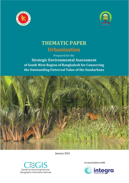 THEMATIC PAPER Urbanization Table of Contents