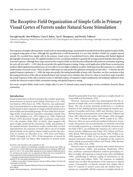 The Receptive-Field Organization of Simple Cells in Primary Visual Cortex of Ferrets Under Natural Scene Stimulation