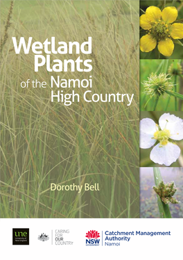 Wetland Plants of the Namoi High Country