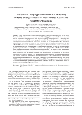 Differences in Karyotype and Fluorochrome Banding Patterns Among Variations of Trichosanthes Cucumerina with Different Fruit Size