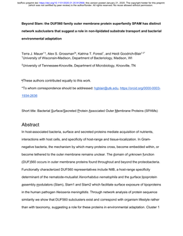 The DUF560 Family Outer Membrane Protein Superfamily SPAM Has Distinct