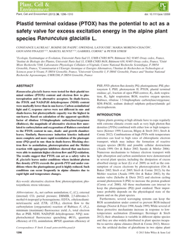 Plastid Terminal Oxidase (PTOX) Has the Potential to Act As a Safety Valve for Excess Excitation Energy in the Alpine Plant Species Ranunculus Glacialis L