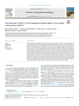 First Detection of Oshv-1 in the Cephalopod Octopus Vulgaris. Is the Octopus a Dead-End for Oshv-1?