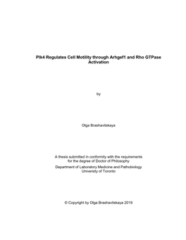 Plk4 Regulates Cell Motility Through Arhgef1 and Rho Gtpase Activation