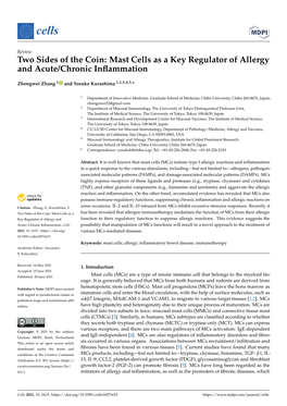 Mast Cells As a Key Regulator of Allergy and Acute/Chronic Inﬂammation