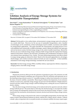Lifetime Analysis of Energy Storage Systems for Sustainable Transportation