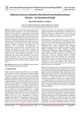 Adhesion System in Bamboo Mat Board from Dendrocalamus Strictus – an Anatomical Study