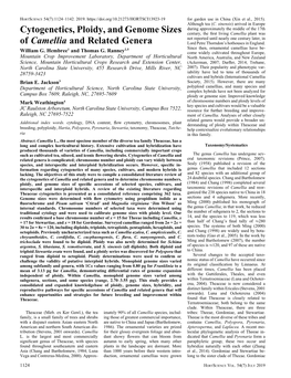 Cytogenetics, Ploidy, and Genome Sizes of Camellia and Related