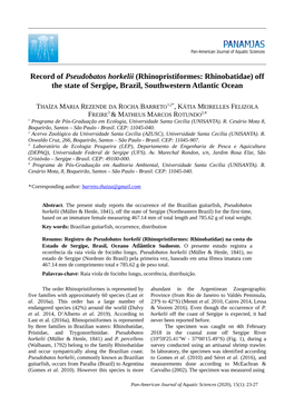 Record of Pseudobatos Horkelii (Rhinopristiformes: Rhinobatidae) Off the State of Sergipe, Brazil, Southwestern Atlantic Ocean