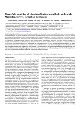 Phase Field Approach to Polycrystalline Solidification