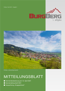 MITTEILUNGSBLATT ■ Gemeinderatssitzung Am 12