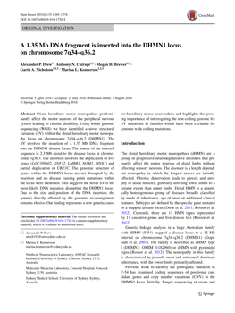 A 1.35 Mb DNA Fragment Is Inserted Into the DHMN1 Locus on Chromosome 7Q34–Q36.2