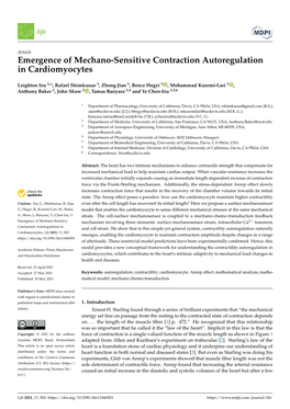 Emergence of Mechano-Sensitive Contraction Autoregulation in Cardiomyocytes