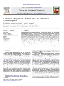 Germination of Fungal Conidia After Exposure to Low Concentration