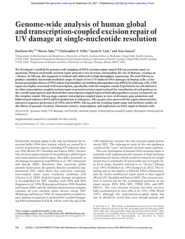 Genome-Wide Analysis of Human Global and Transcription-Coupled Excision Repair of UV Damage at Single-Nucleotide Resolution