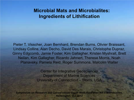 Microbial Mats and Microbialites: Ingredients of Lithification