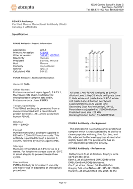 PSMA5 Antibody Purified Mouse Monoclonal Antibody (Mab) Catalog # Am8566b