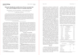 Molecular Identification and Diversity of Yeasts Associated with Apis