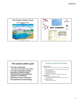 The Ocean Carbon Cycle WHY CARBON?