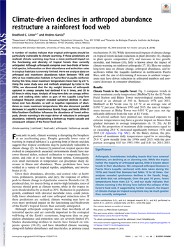 Climate-Driven Declines in Arthropod Abundance Restructure a Rainforest Food Web