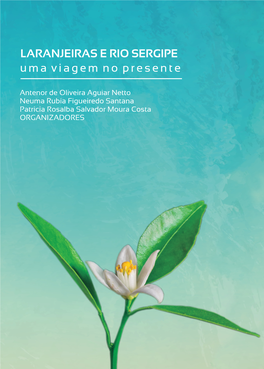 Livro Laranjeiras E Rio Sergipe: Uma Viagem No Presente