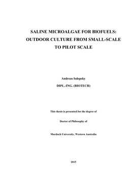 Saline Microalgae for Biofuels: Outdoor Culture from Small-Scale to Pilot Scale