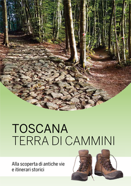 Toscana Terra Di Cammini