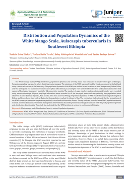 Distribution and Population Dynamics of the White Mango Scale, Aulacaspis Tubercularis in Southwest Ethiopia