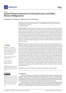 P53/P73 Protein Network in Colorectal Cancer and Other Human Malignancies