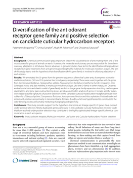 Diversification of the Ant Odorant Receptor Gene Family and Positive