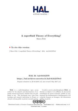 A Superfluid Theory of Everything? Marco Fedi