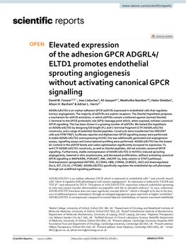 Elevated Expression of the Adhesion GPCR ADGRL4/ELTD1 Promotes