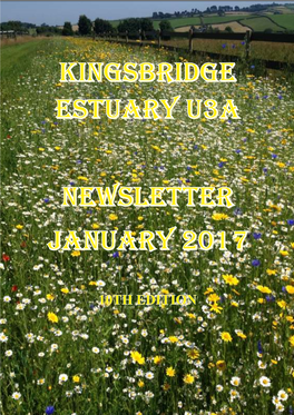 Newsletter January 2017