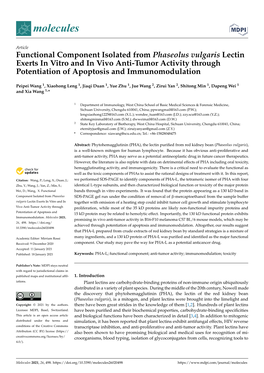 Functional Component Isolated from Phaseolus Vulgaris Lectin Exerts in Vitro and in Vivo Anti-Tumor Activity Through Potentiation of Apoptosis and Immunomodulation