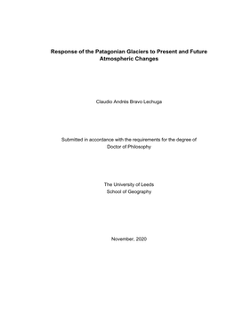Response of the Patagonian Glaciers to Present and Future Atmospheric Changes