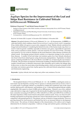 Aegilops Species for the Improvement of the Leaf and Stripe Rust Resistance in Cultivated Triticale (×Triticosecale Wittmack)