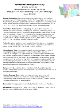 Nymphaea Tetragona Georgi Pygmy Water-Lily Nymphaeaceae - Water Lily Family Status: State Possibly Extirpated, USFS Strategic Rank: G5 / SH