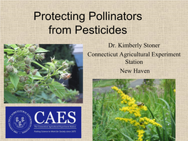 Protecting Pollinators from Pesticides Dr