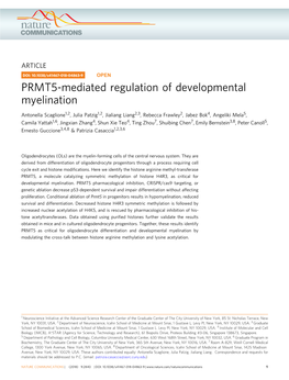 PRMT5-Mediated Regulation of Developmental Myelination