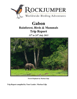 Gabon Rainforest, Birds & Mammals Trip Report