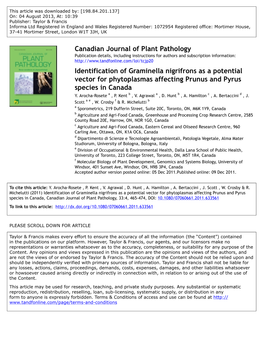 Identification of Graminella Nigrifrons As a Potential Vector for Phytoplasmas Affecting Prunus and Pyrus Species in Canada Y