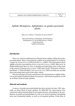 Aphids /Hemiptera, Aphidoidea/ on Garden Perennial Plants