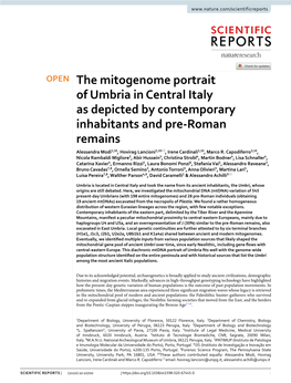 The Mitogenome Portrait of Umbria in Central Italy As Depicted By