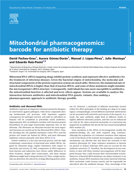 Mitochondrial Pharmacogenomics: Barcode for Antibiotic Therapy